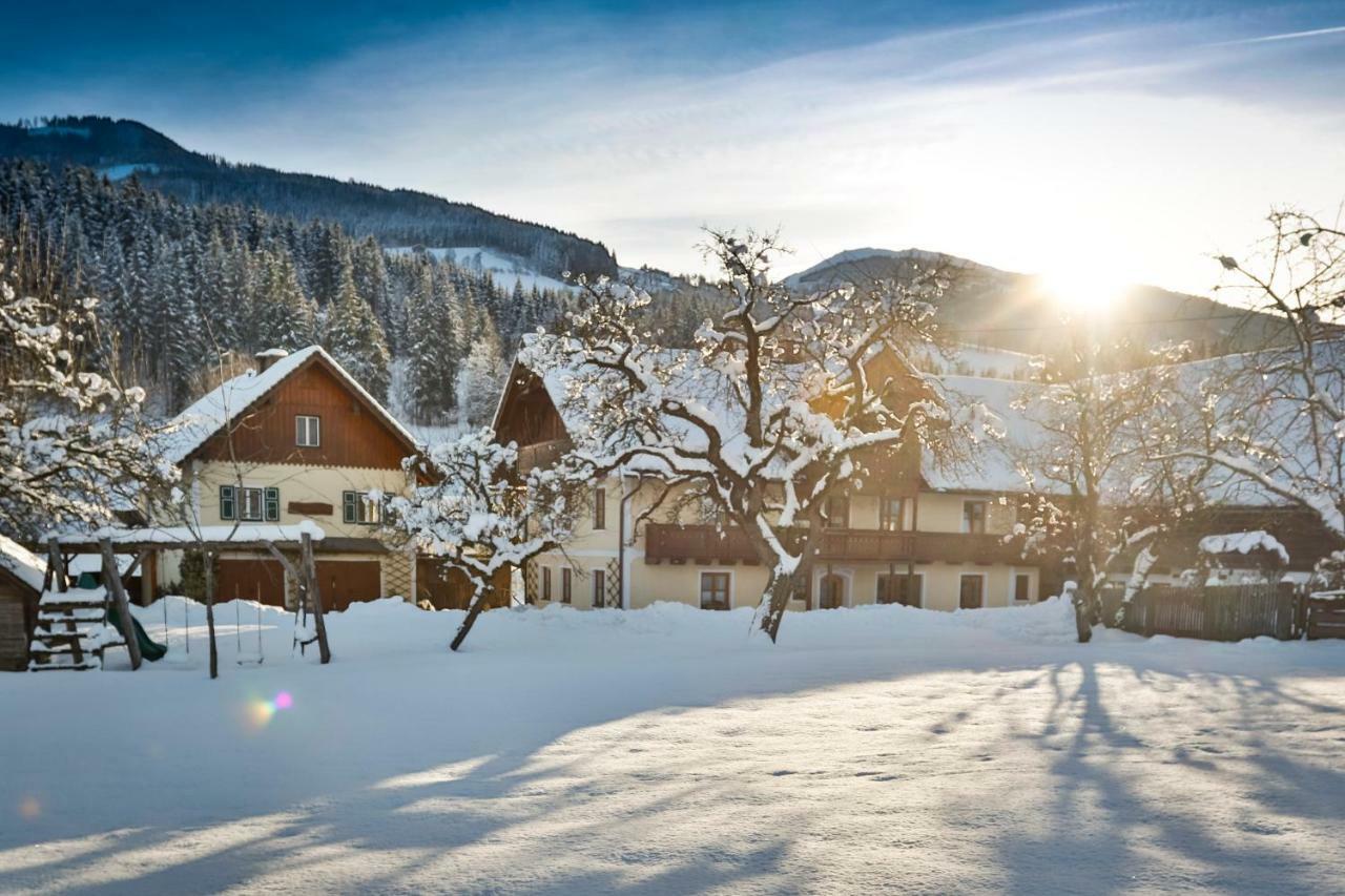 Moserhof Haus im Ennstal Ngoại thất bức ảnh