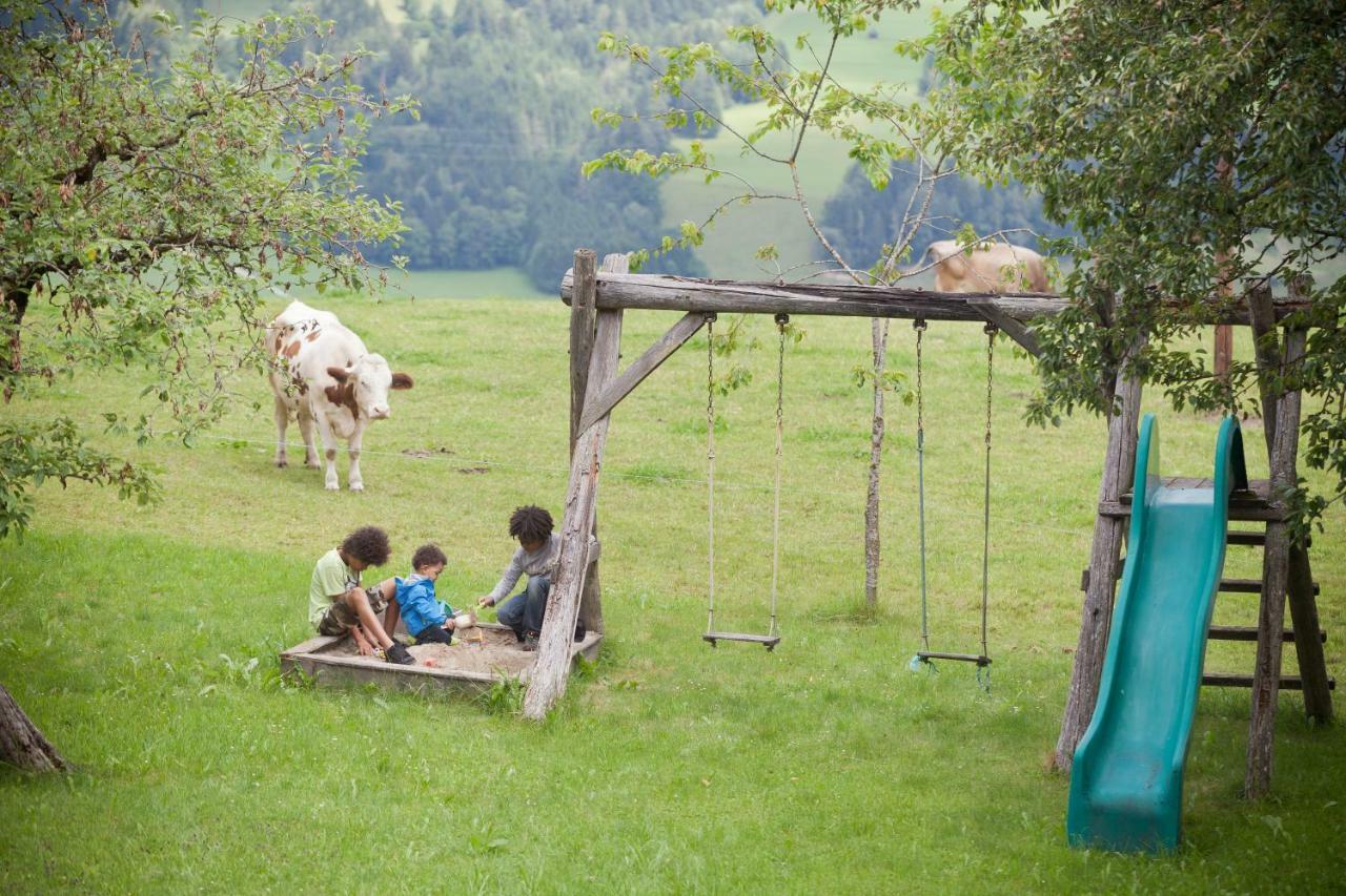 Moserhof Haus im Ennstal Ngoại thất bức ảnh